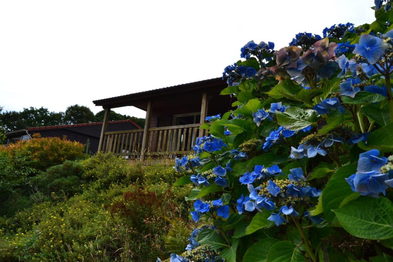 Beautiful Lake View 3 Bedroom Chalet. Saint-Manvieu-Bocage Dış mekan fotoğraf